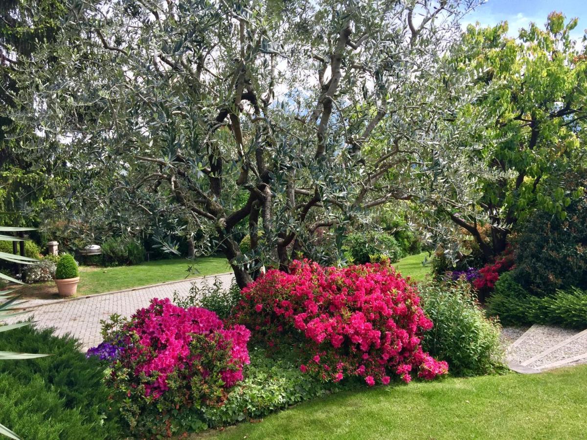 Abies Lago Di Como Dongo Exterior foto